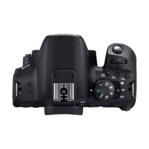 دوربین عکاسی بدون لنز کانن Canon EOS 850D